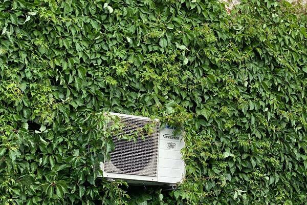 Varmepumper for en grønn verden